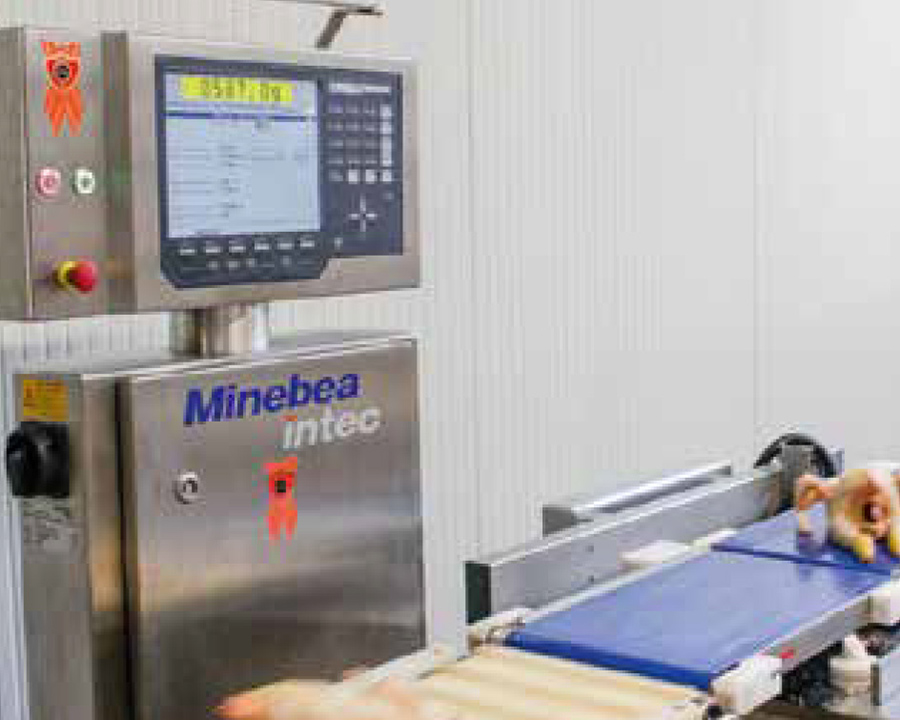 精确挑选家禽的最佳分选机