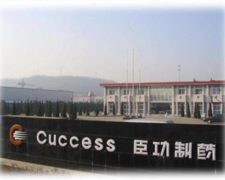 连云港臣功制药有限公司